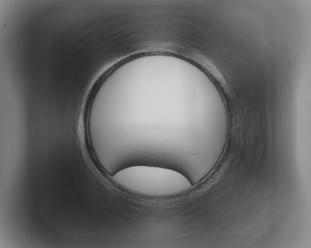 X0000102270936200807250855