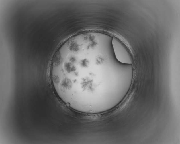 X0000102270937200807250855