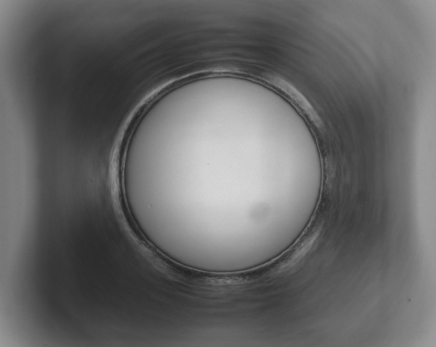 X0000102270939200807250855
