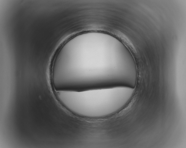 X0000102270942200807250855