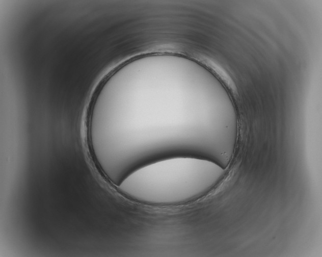 X0000102270944200807250855