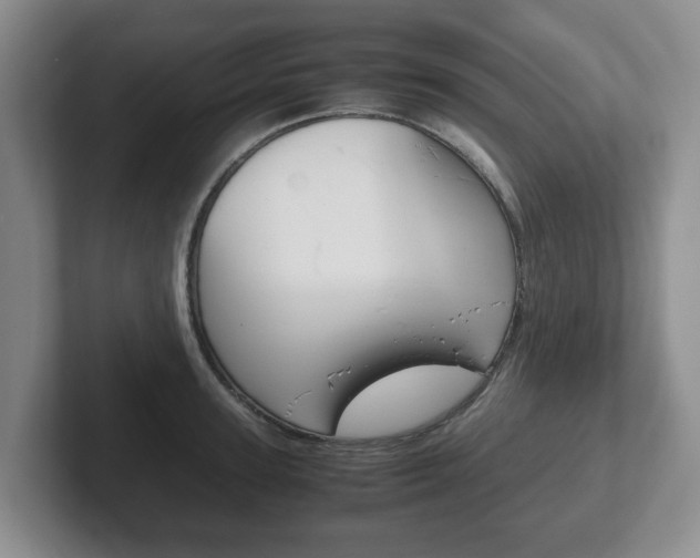 X0000102270947200807250855