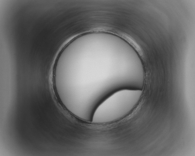 X0000102270948200807250855