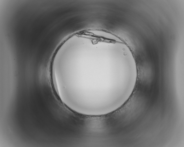 X0000102270950200807250855
