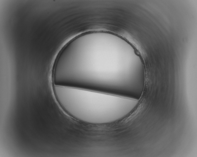 X0000102270951200807250855