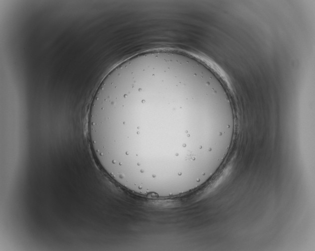 X0000102270953200807250855