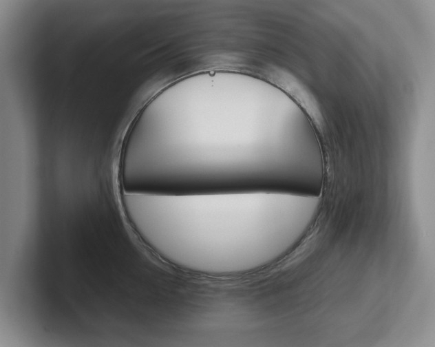 X0000102270954200807250855