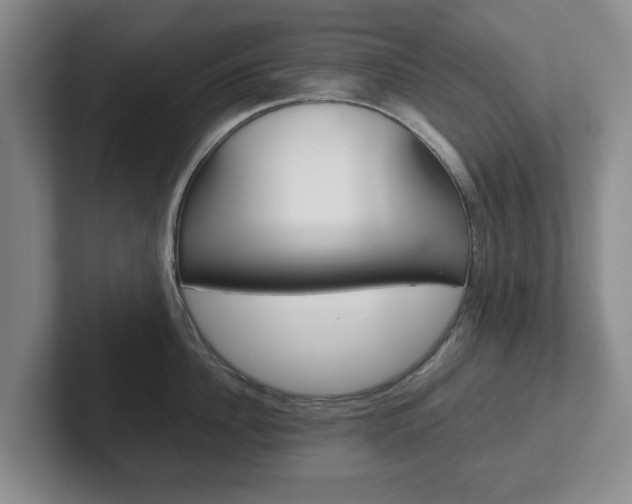 X0000102270956200807250855