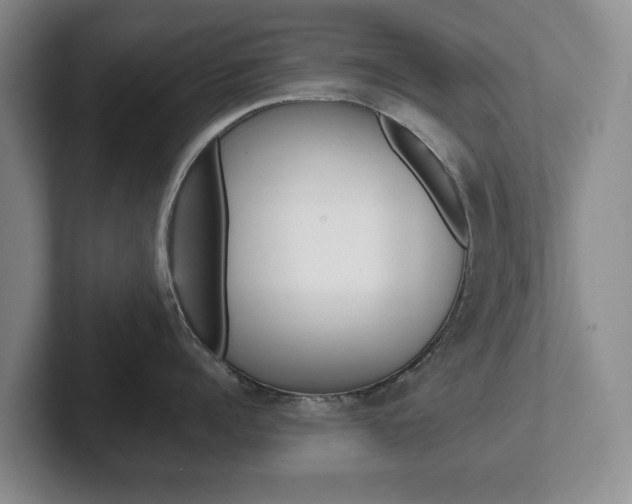 X0000102270960200807250855