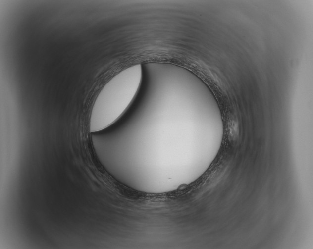 X0000102270964200807250854
