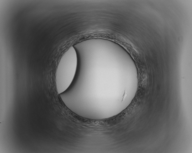 X0000102270966200807250854