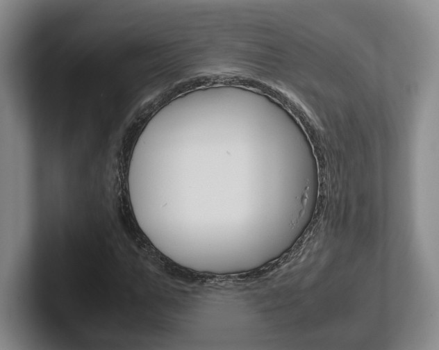 X0000102270967200807250854