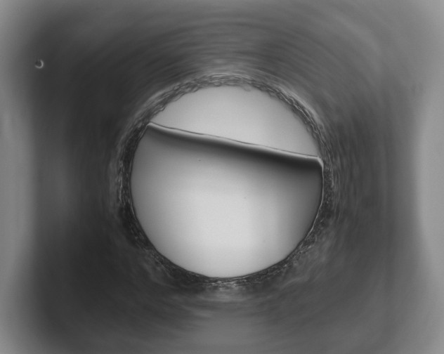 X0000102270968200807250854