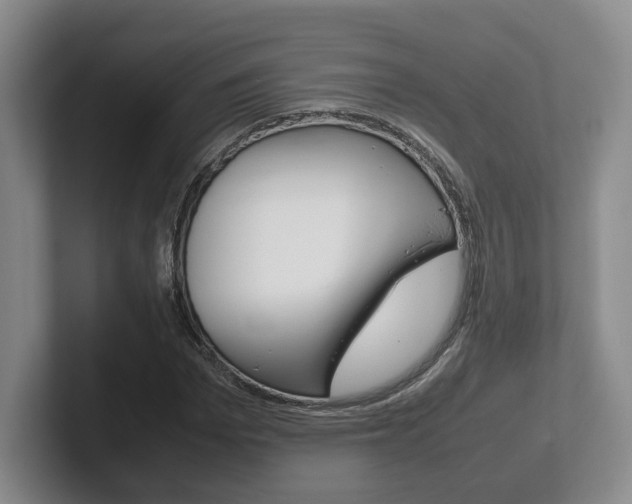 X0000102270969200807250854