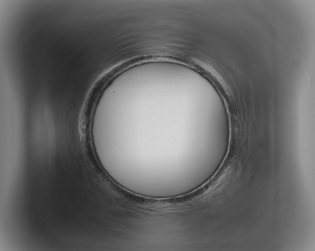 X0000102270971200807250854
