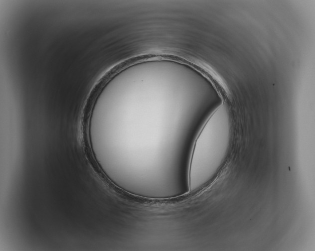 X0000102270972200807250854