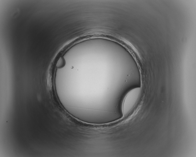 X0000102270973200807250854