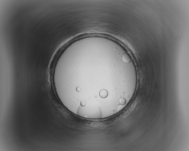 X0000102270974200807250854