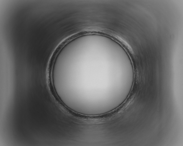 X0000102270976200807250854