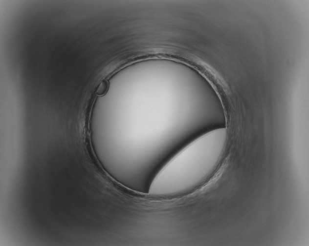 X0000102270977200807250854
