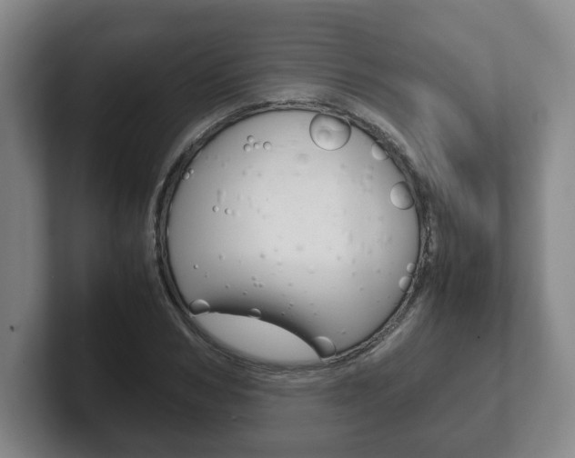X0000102270978200807250854