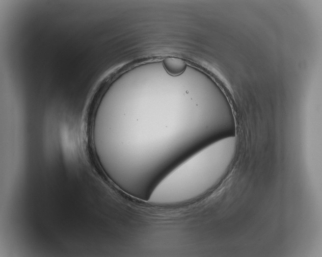 X0000102270979200807250854