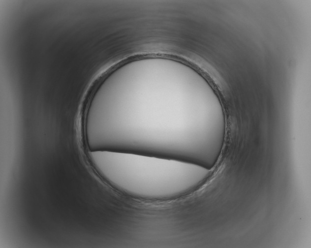 X0000102270982200807250854