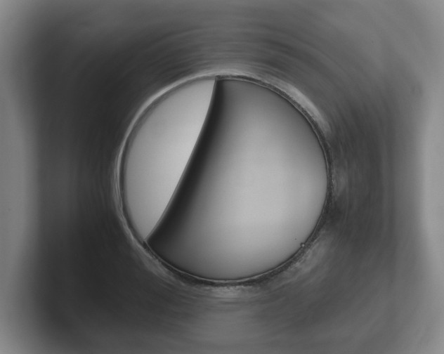 X0000102270988200807250854