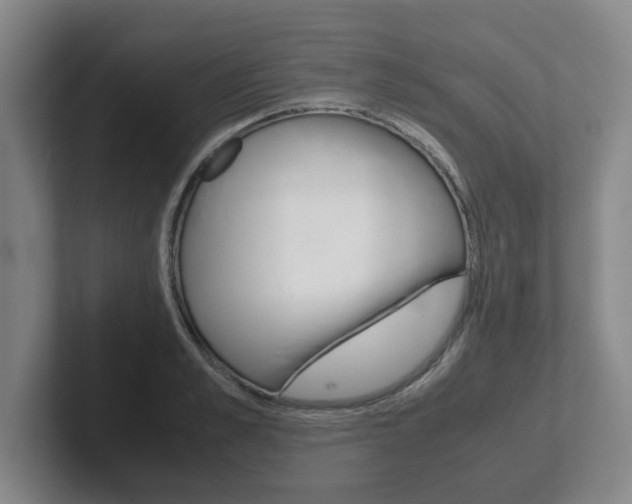 X0000102270989200807250854