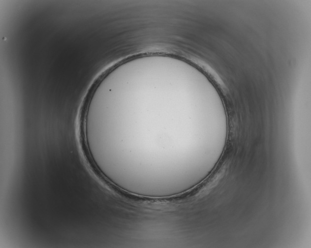 X0000102270991200807250854