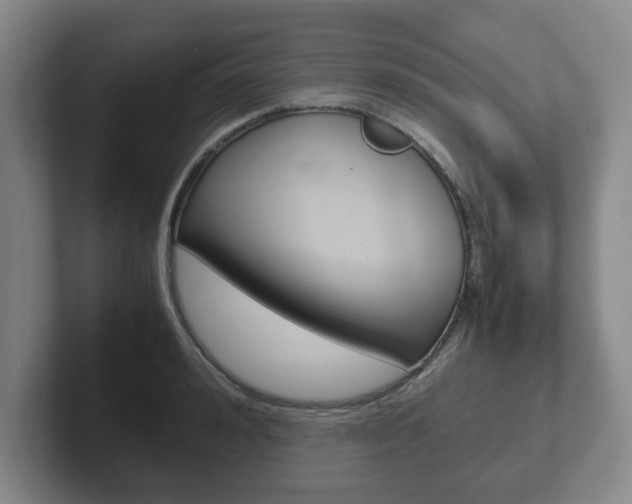 X0000102270992200807250854