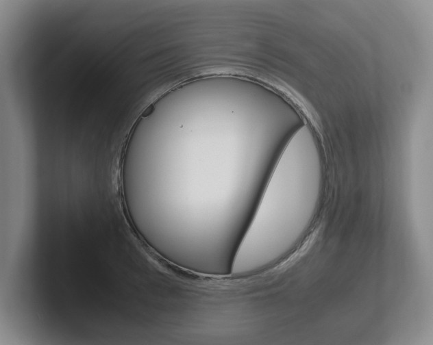 X0000102270993200807250854