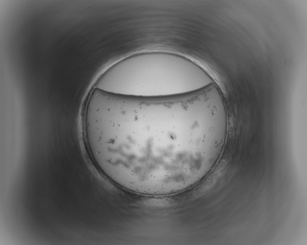 X0000102270998200807250854