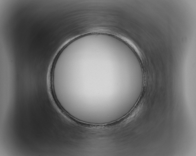 X0000102270999200807250854