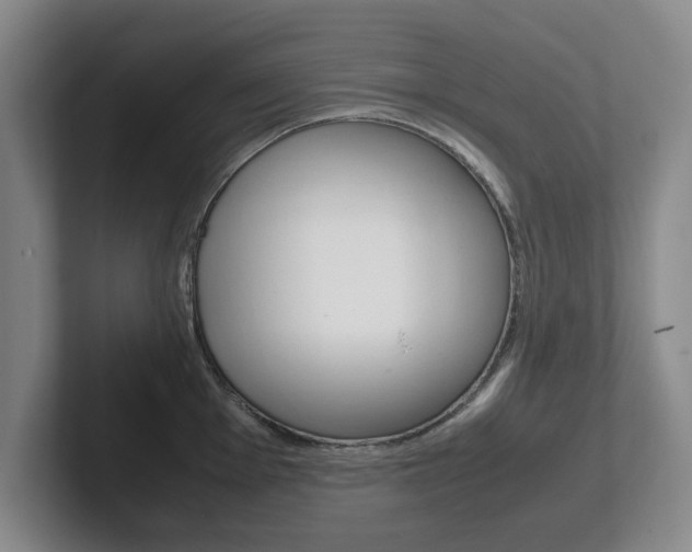 X0000102271001200807250854