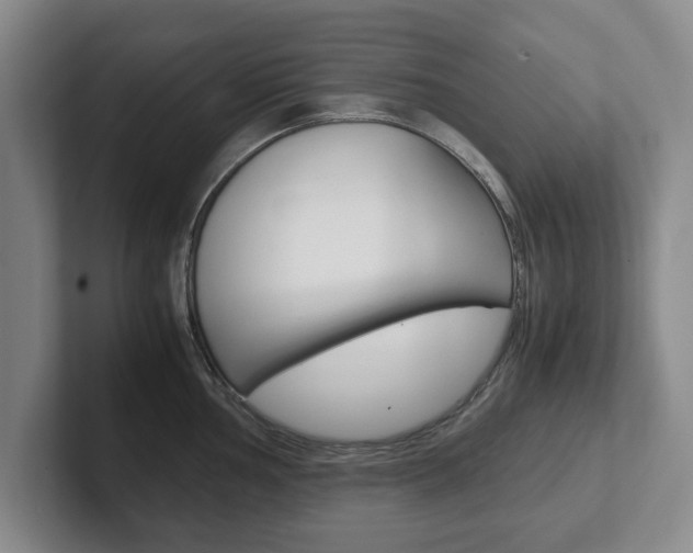X0000102271002200807250854