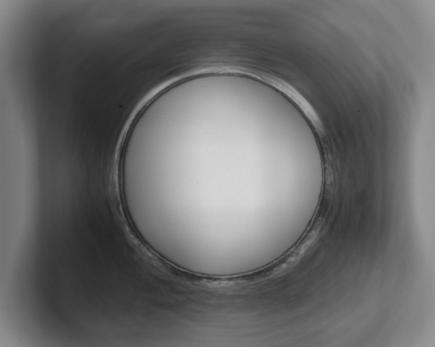 X0000102271004200807250854
