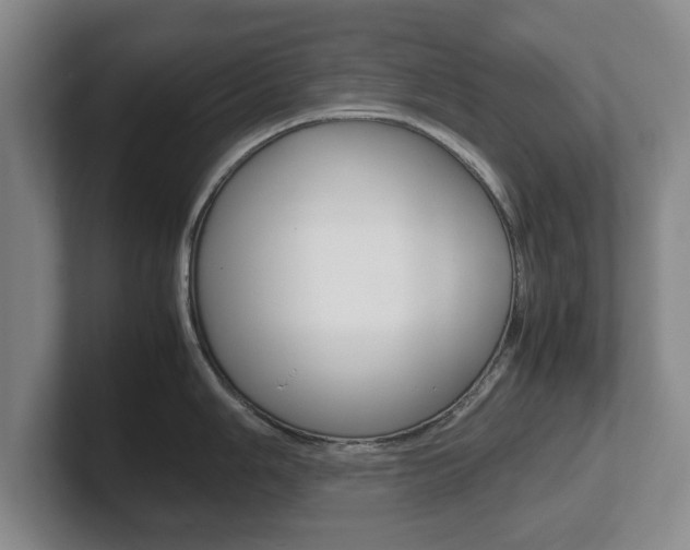 X0000102271006200807250854