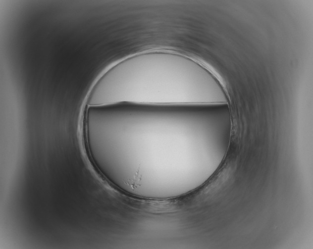 X0000102271007200807250854
