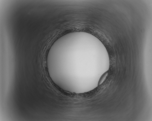 X0000102271009200807250853