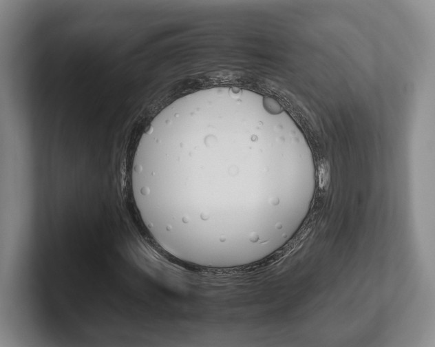 X0000102271011200807250853