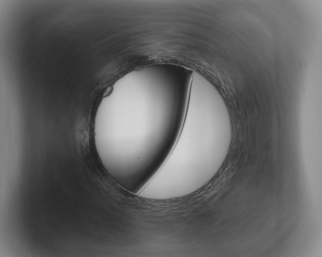 X0000102271012200807250853