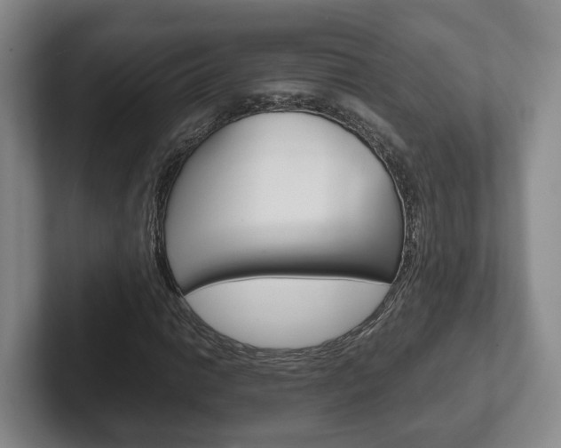 X0000102271014200807250853
