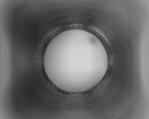 X0000102271015200807250853