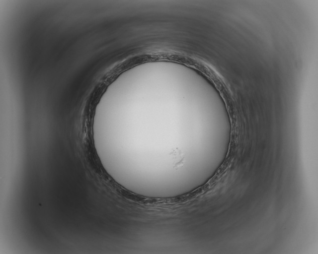 X0000102271016200807250853