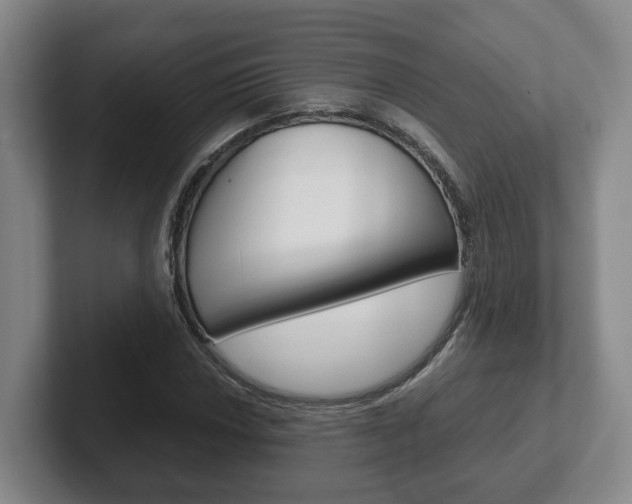 X0000102271018200807250853