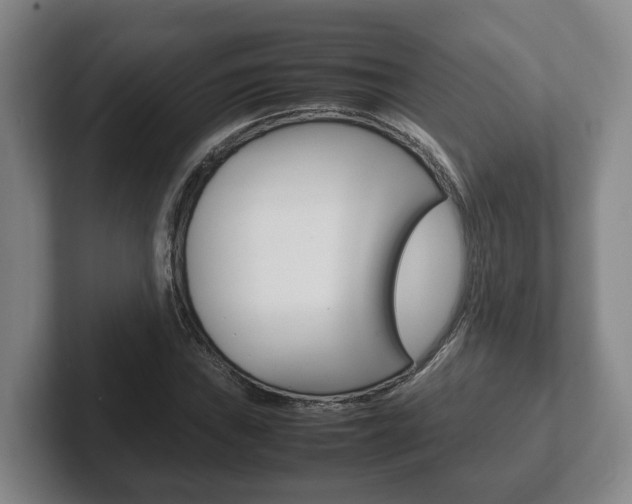 X0000102271019200807250853