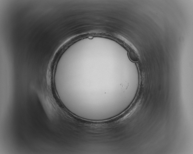 X0000102271021200807250853