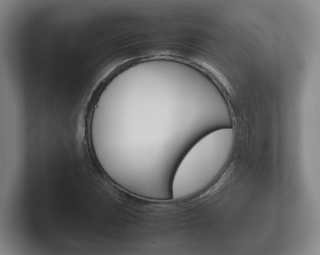 X0000102271023200807250853