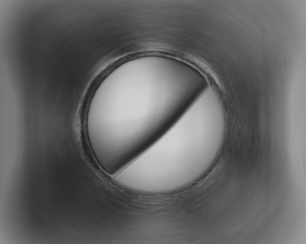 X0000102271024200807250853
